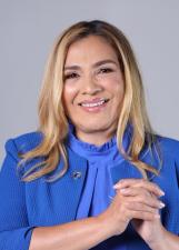 Foto oficial de Prof. Vanderly no TSE