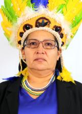 Foto oficial de Prof Katia Araujo no TSE