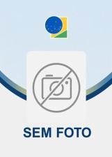 Foto oficial de Sandra Ometto no TSE